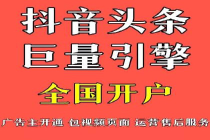 某行业领军企业的SEM广告投放策略